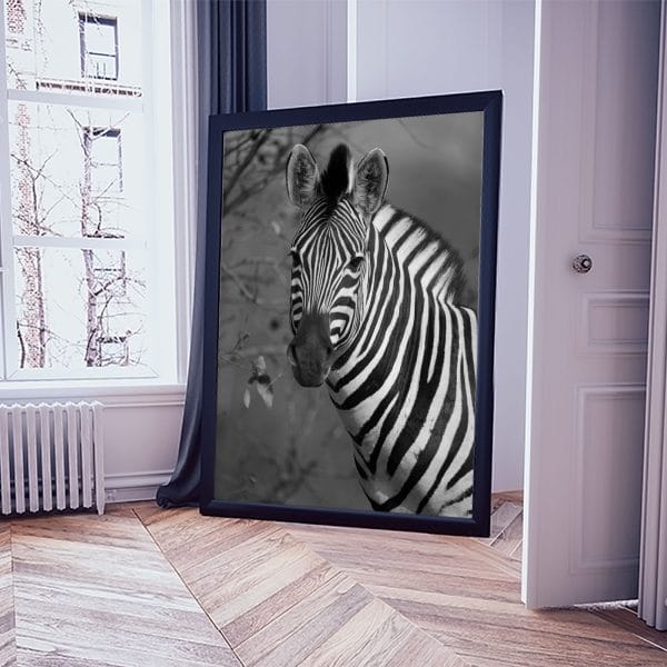 Zebra Lovenir.hu