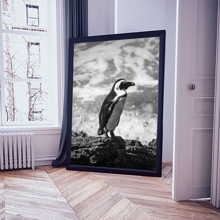 Madagaszkári pingvin Lovenir.hu