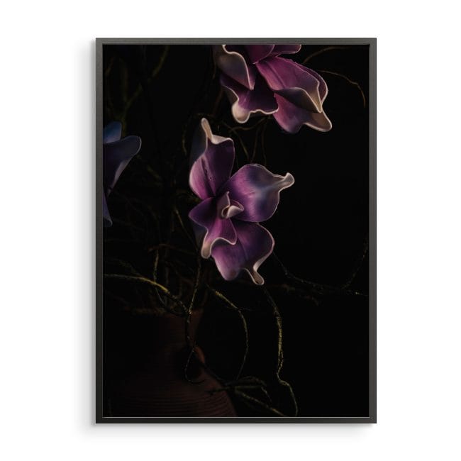 Orchidea Lovenir.hu