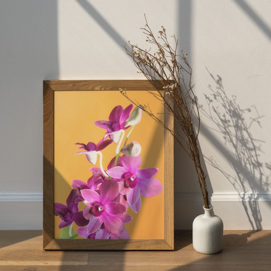 Rózsaszín orchideák Lovenir.hu